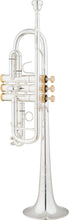 Load image into Gallery viewer, LIKE NEW Eastman Advanced C Trumpet- ETR-530S & ETR-530GS