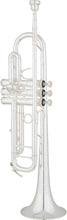 Load image into Gallery viewer, Demo Eastman Professional Bb Trumpet- ETR824S &amp; ETR824RS