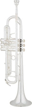 Load image into Gallery viewer, Demo Eastman Professional Bb Trumpet- ETR824S & ETR824RS