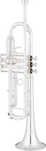 Load image into Gallery viewer, Demo Eastman Professional Bb Trumpet- ETR824S & ETR824RS
