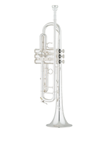 Load image into Gallery viewer, LIKE NEW Shires Q Series Professional Bb Trumpet- Q10S