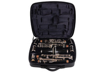 Load image into Gallery viewer, Bam Stage Double Clarinet Case (Bb/A)
