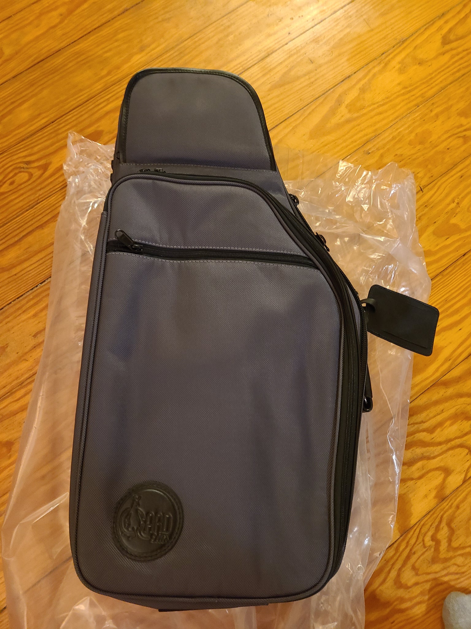 Amazon.com: Alto Saxophone Bag Case, Alto Sax Lightweight Gig Bag Backpack  with Padding, Shoulder Strap, External Pocket, Saxophone Carrying Bag,  black Travel Organizer Bags : Musical Instruments