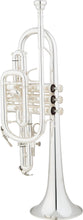 Load image into Gallery viewer, B-Stock Eastman ECN-421 Cornet