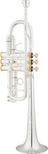Load image into Gallery viewer, C-Stock Eastman Advanced C Trumpet- ETR-530S &amp; ETR-530GS