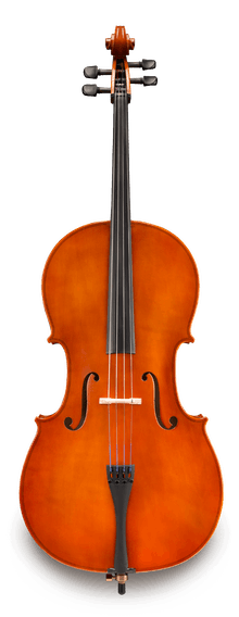 DEMO Samuel Eastman VC80 4/4 Cello
