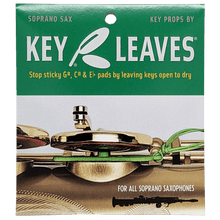 Load image into Gallery viewer, Key Leaves Soprano Sax Key Props