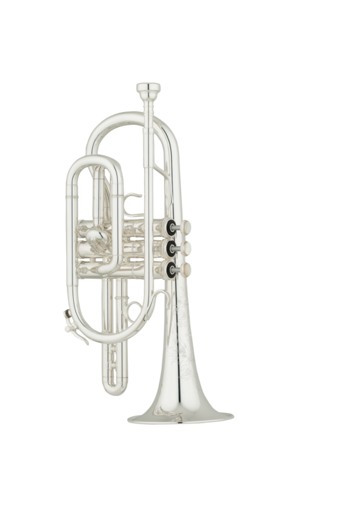 DEMO Shires 7A Cornet